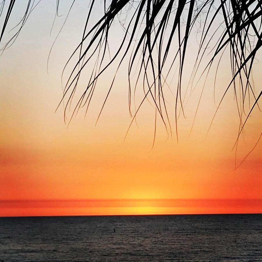 201 Sandy Shores Condos St. Pete Beach Zewnętrze zdjęcie